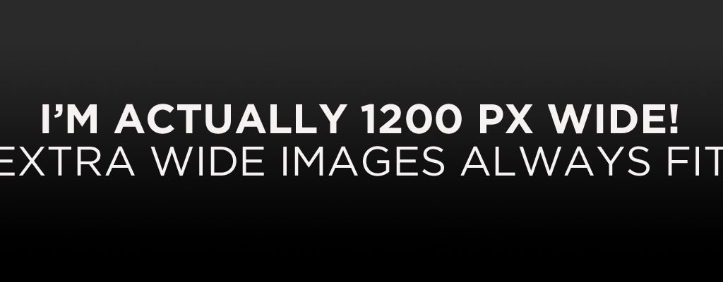 Image Alignment 1200x4002